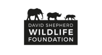 david-shepard-wildlife